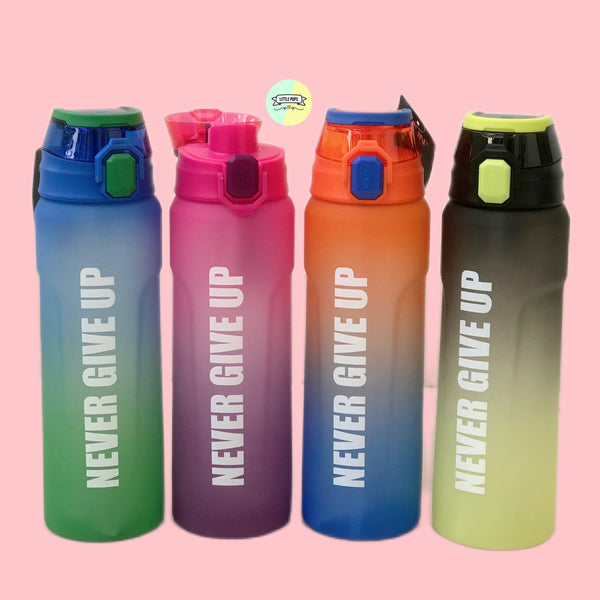 Two-Tone Solid Colored Water Bottle
