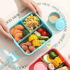 Bento Styled Plastic Lunchbox