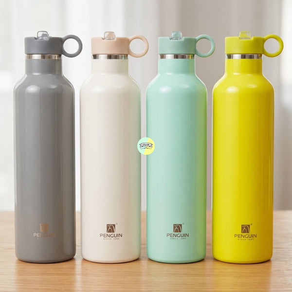 Vibrant Colored Stainless Steel Water Bottle